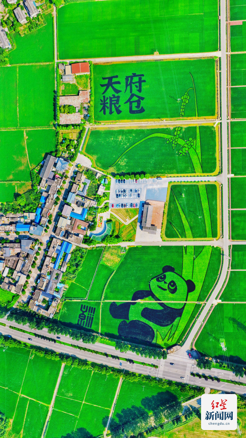dji_fly_20250709_162620_0158_1752050190969_photo-01