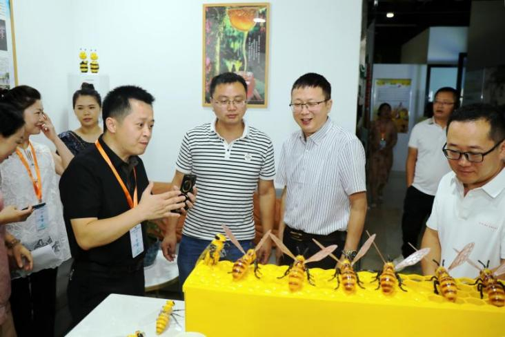 图片11
