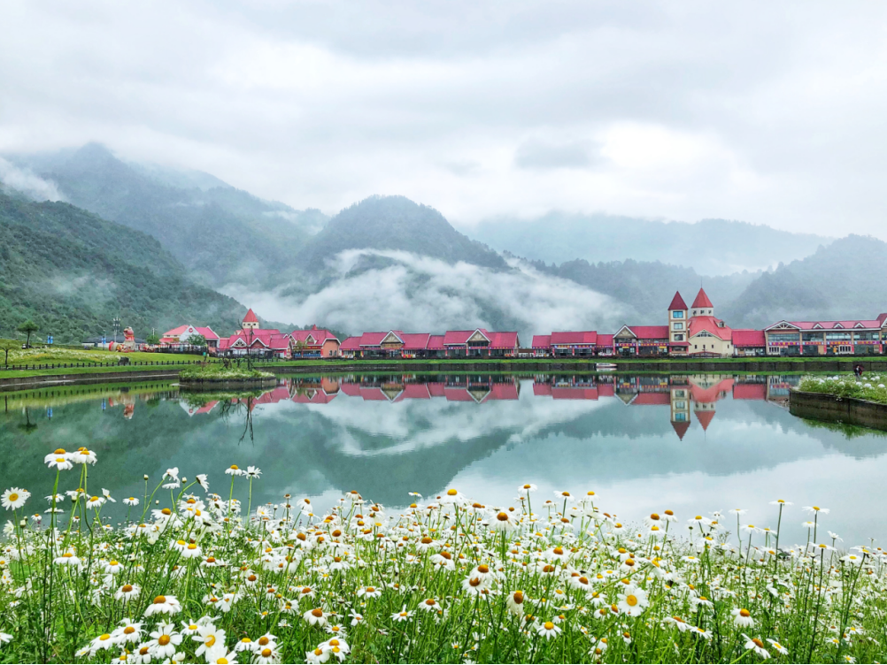谋划“补短板”的明星项目。加快推进成都国家植物园西岭雪山园建设，项目占地1800亩，计划投资2亿元，建成后将成为世界山地植物多样性保育基地和公园城市示范窗口。