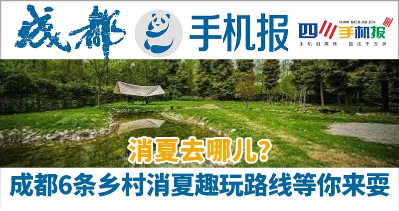 手机报主图