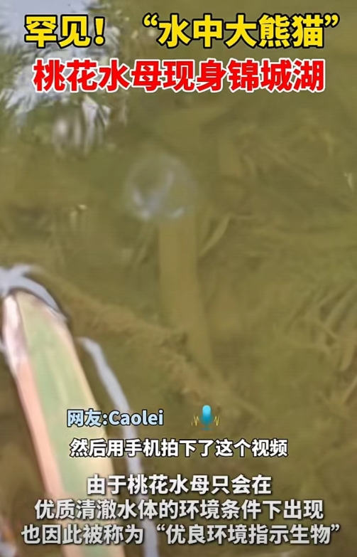 微信截图_20250721120338