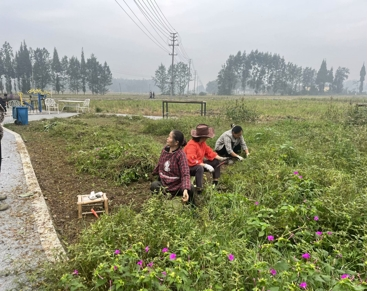城乡“边角料”变身“幸福场”：新津区闲置地整治绘就“净优亮美”新图景664