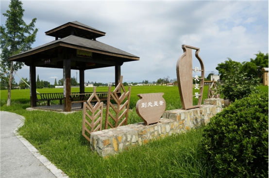 城乡“边角料”变身“幸福场”：新津区闲置地整治绘就“净优亮美”新图景670