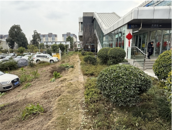 城乡“边角料”变身“幸福场”：新津区闲置地整治绘就“净优亮美”新图景906