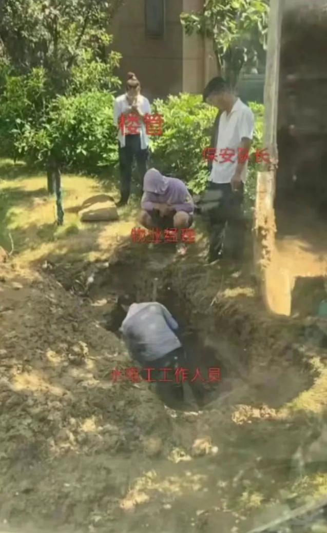 微信截图_20250724134724