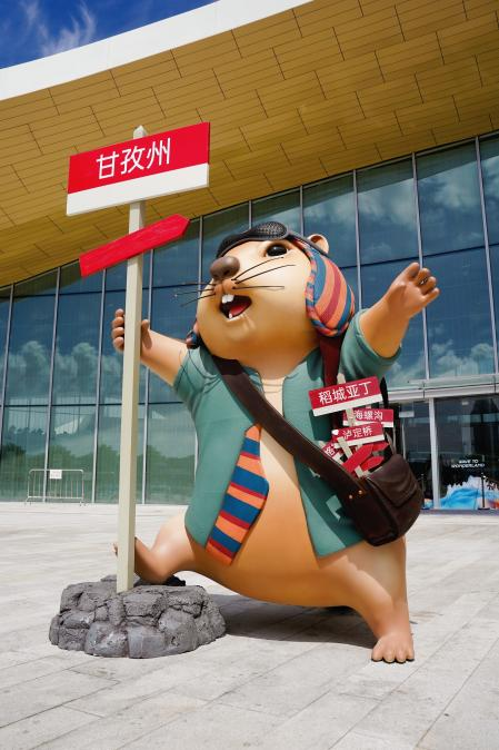 图片7