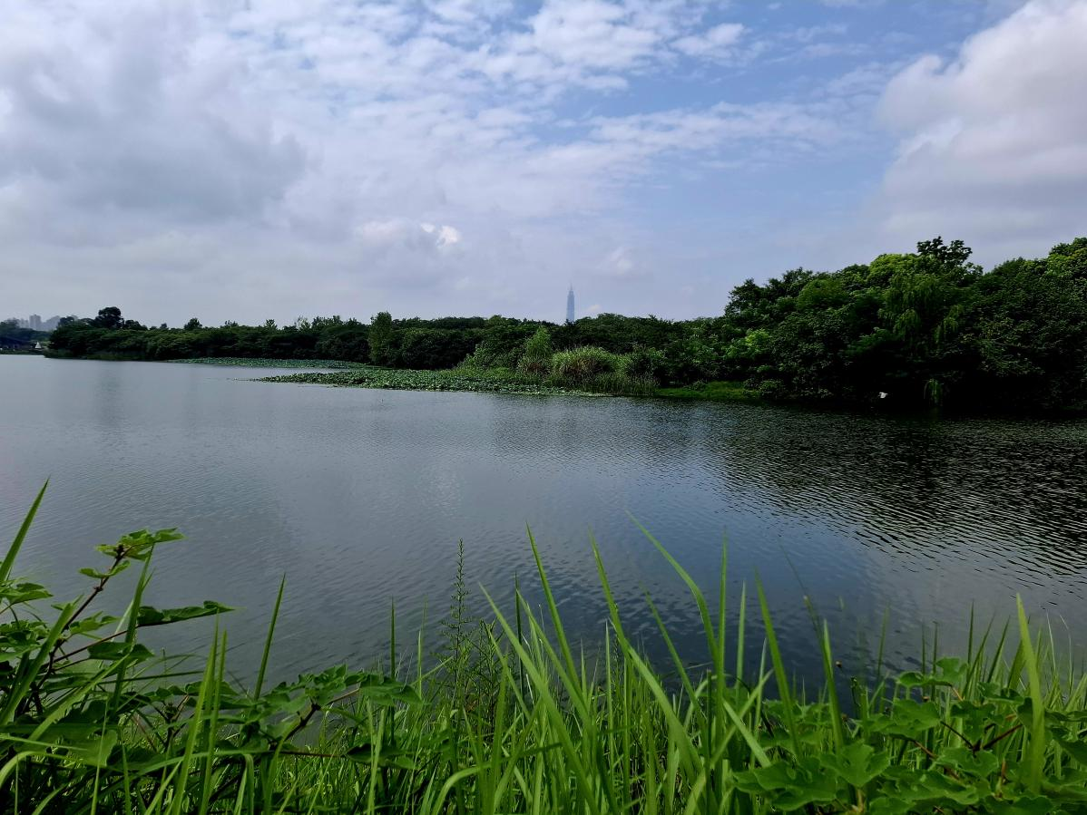▲青龙湖水清岸绿（摄影：郭怡）