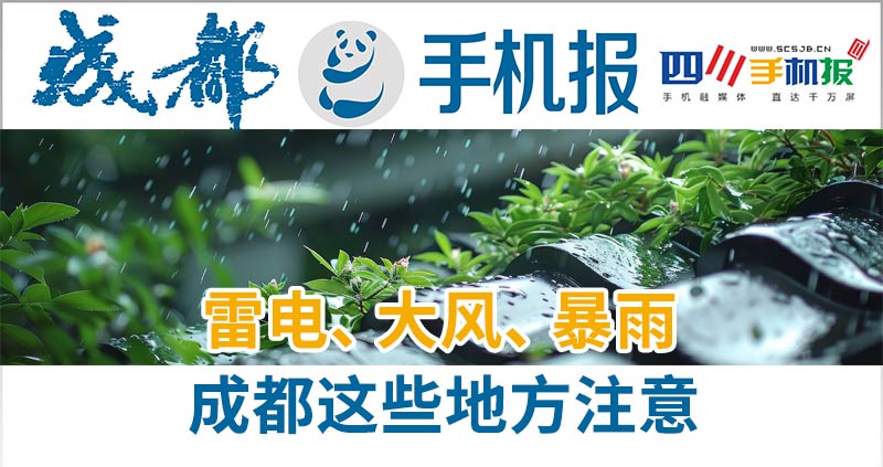 手机报主图
