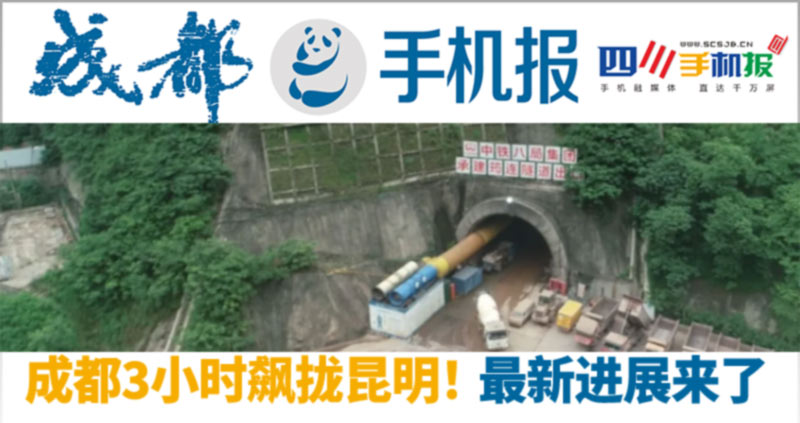 手机报主1图