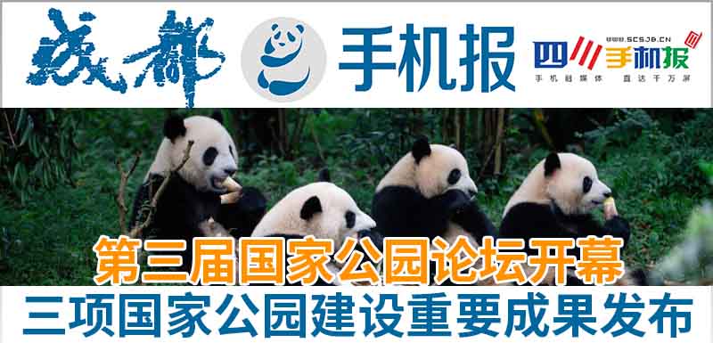 手机报主图新