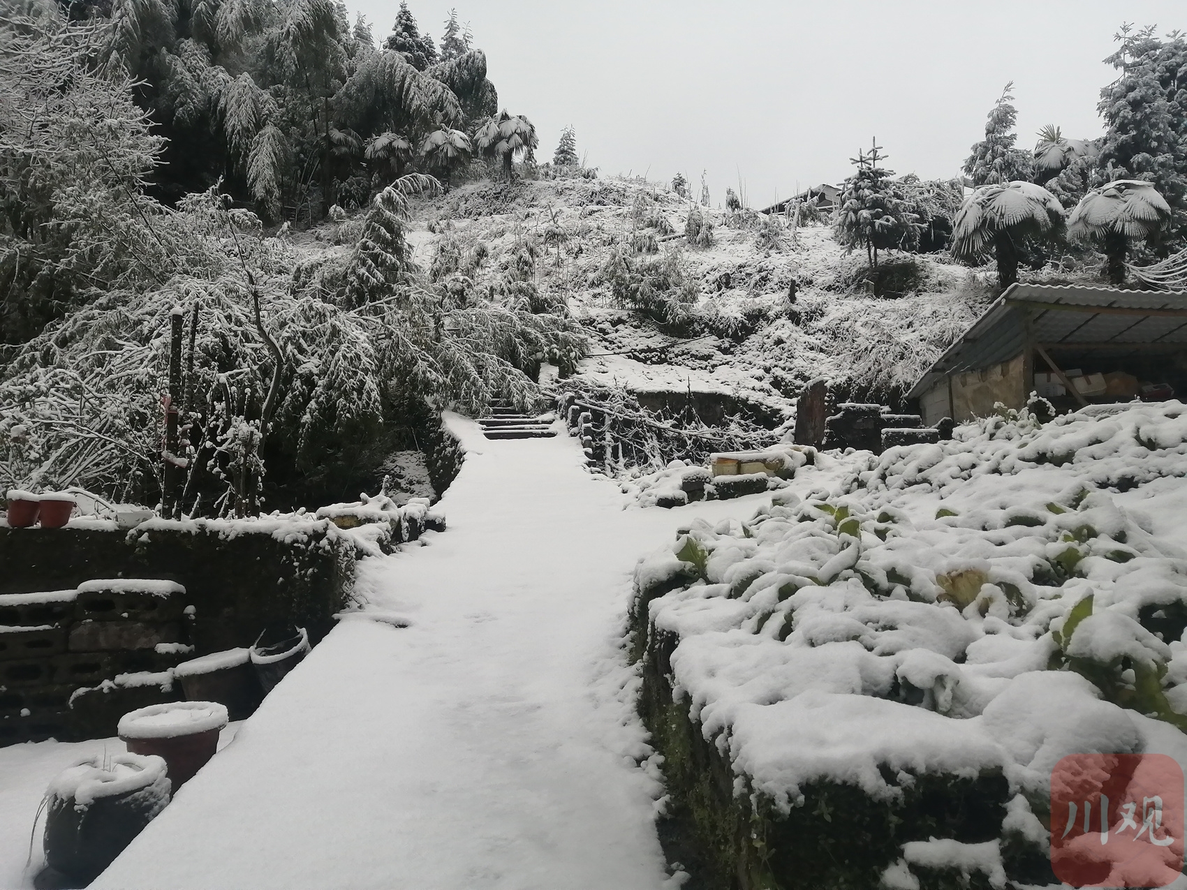 宜宾雪景图片