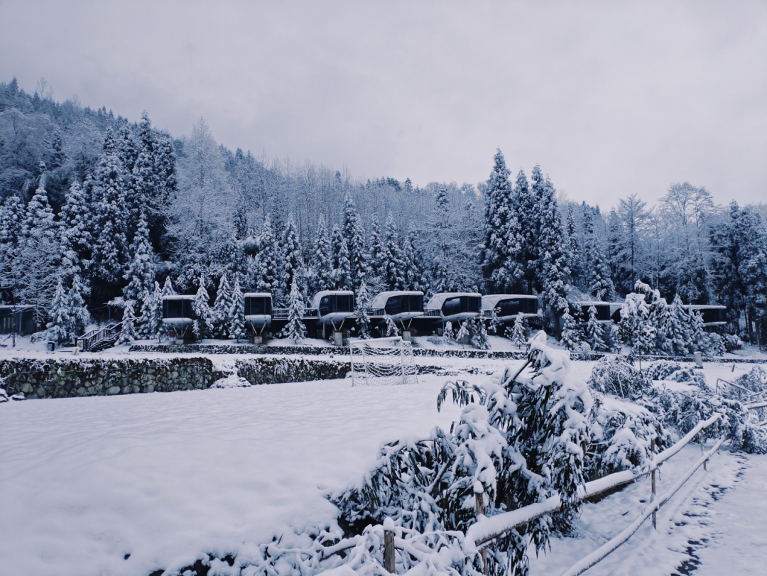 雪04雪04雪04雪04雪04繼續下成都美出新高度