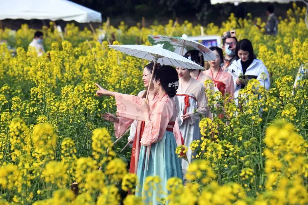 位置:三溪镇ps:三溪镇的油菜花节明日(2月28日)就开幕来,长林村十里金