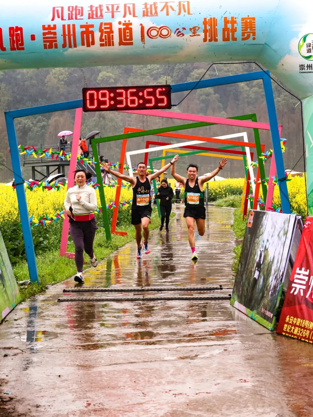 2024崇州自驾赏花季连上央视已有412万游客来崇州看花花